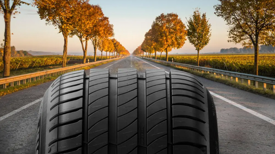 185/55 R15 82V TL PRIMACY 4 MICHELIN